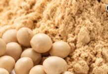 SOPA Opposes GM Soybean Meal Imports, Cites Strong Domestic Supply