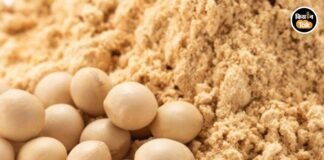 SOPA Opposes GM Soybean Meal Imports, Cites Strong Domestic Supply