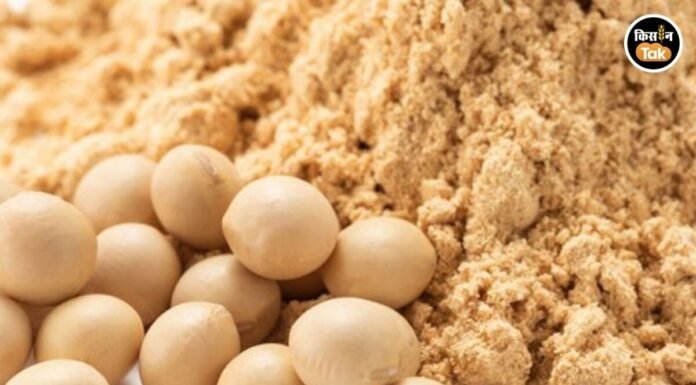 SOPA Opposes GM Soybean Meal Imports, Cites Strong Domestic Supply