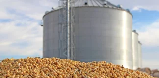 US Soybean Industry Sees China as Key Market Amid Trade Stabilization