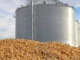 US Soybean Industry Sees China as Key Market Amid Trade Stabilization