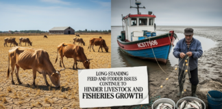 Long-Standing Feed and Fodder Issues Continue to Hinder Livestock and Fisheries Growth Featured image for Auto Draft