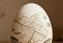 Export Disruptions Trigger Price Crisis in Namakkal’s Poultry Sector