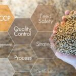 Rethinking Feed Safety in a Changing Risk Landscape