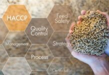 Rethinking Feed Safety in a Changing Risk Landscape