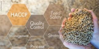 Rethinking Feed Safety in a Changing Risk Landscape
