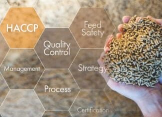 Rethinking Feed Safety in a Changing Risk Landscape