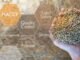 Rethinking Feed Safety in a Changing Risk Landscape