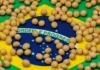 Brazil Forecasts Record Soybean Harvest Despite Heavy Rains and Planting Delays