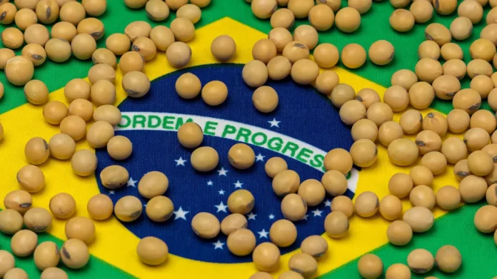 Getty_soybeans_brazil_flag_1800x1012_JJ_Gouin