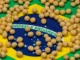 Brazil Forecasts Record Soybean Harvest Despite Heavy Rains and Planting Delays