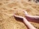 Oilseed Meal Exports Under Pressure Amid Market Shifts