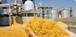 India Opens DDGS Imports to Stabilise Feed Supply