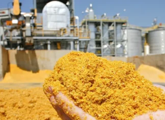 India Opens DDGS Imports to Stabilise Feed Supply