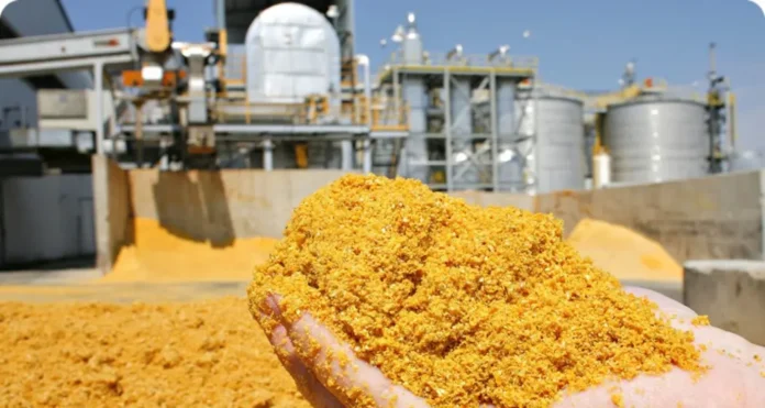 ddgsjpg_1770556006866