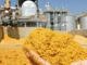 India Opens DDGS Imports to Stabilise Feed Supply