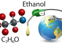 Ethanol Push vs Feed Security: Can India Strike the Right Balance?