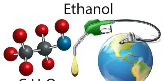 Ethanol Push vs Feed Security: Can India Strike the Right Balance?