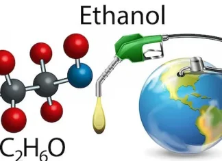 Ethanol Push vs Feed Security: Can India Strike the Right Balance?