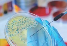 The Critical Importance of Testing for Mycotoxins in Animal Feed