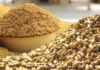 Turning Agricultural Waste into Next-Gen Feed Solutions