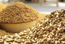 Turning Agricultural Waste into Next-Gen Feed Solutions