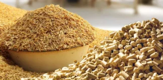 Turning Agricultural Waste into Next-Gen Feed Solutions