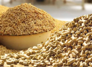 Turning Agricultural Waste into Next-Gen Feed Solutions