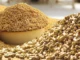 Turning Agricultural Waste into Next-Gen Feed Solutions