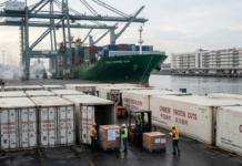 China Surpasses Brazil in Poultry Production as Exports Triple to Reshape Asian Markets