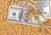 Soybean Prices May Weaken as US Farmers Shift Acreage from Corn