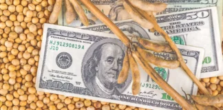 Soybean Prices May Weaken as US Farmers Shift Acreage from Corn