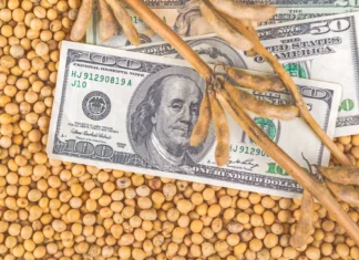 Soybean Prices May Weaken as US Farmers Shift Acreage from Corn