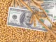 Soybean Prices May Weaken as US Farmers Shift Acreage from Corn