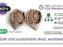 GMP+ International Unveils New Global Standard for Feed Life Cycle Assessment
