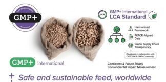 GMP+ International Unveils New Global Standard for Feed Life Cycle Assessment