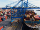 West Asia Conflict Hits India’s Soybean Meal Exports