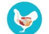 Key Takeaways from Gut Health Forum 2026: Gut to Immunity in Poultry
