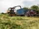 BIS Introduces Indian Standard for Maize Silage as Livestock Fodder