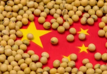 China’s Plan to Reduce Soybean Meal Use Raises Concerns for Brazilian Exports
