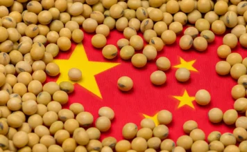 China’s Plan to Reduce Soybean Meal Use Raises Concerns for Brazilian Exports