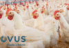 NOVUS to Highlight the Role of Nutrition in Advancing Coccidiosis Programs at ICC 2026