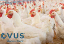 NOVUS to Highlight the Role of Nutrition in Advancing Coccidiosis Programs at ICC 2026