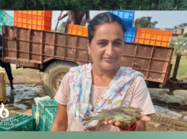Where Wheat Failed, Shrimp Thrived: Rupinder Kaur’s Success Story