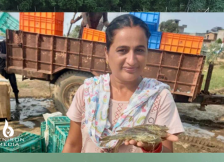 Where Wheat Failed, Shrimp Thrived: Rupinder Kaur’s Success Story