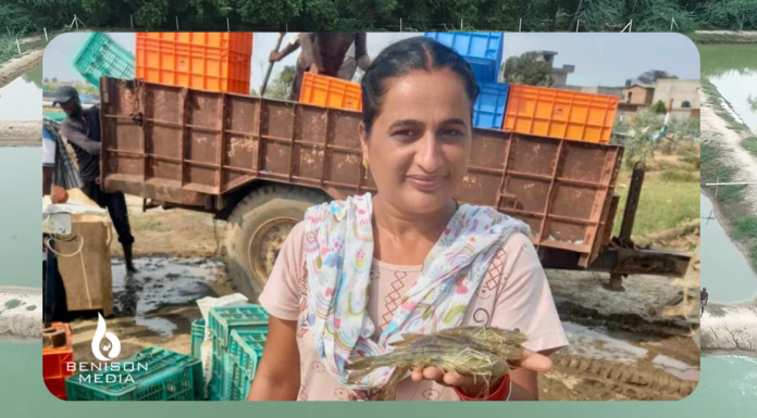 Where Wheat Failed, Shrimp Thrived: Rupinder Kaur’s Success Story