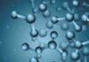 Functional Role of Butyric Acid in Poultry Feeding Programs: Implications for Gut Health, Immunity, and Growth Performance