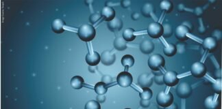 Functional Role of Butyric Acid in Poultry Feeding Programs: Implications for Gut Health, Immunity, and Growth Performance