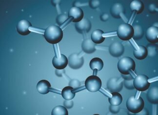 Functional Role of Butyric Acid in Poultry Feeding Programs: Implications for Gut Health, Immunity, and Growth Performance