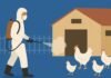 Partial Biosecurity Better Than No Security in Preventing HPAI